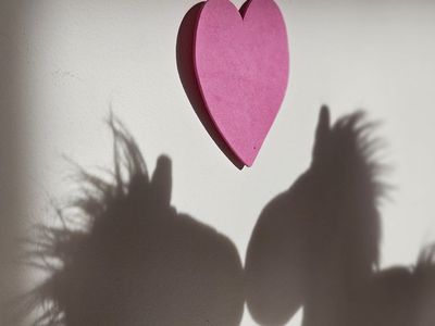 Beautiful shadows cast on a white yoga wall.